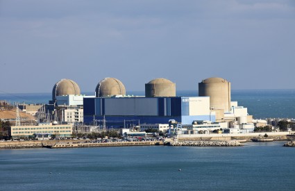 Can We Give Up Nuclear Power?