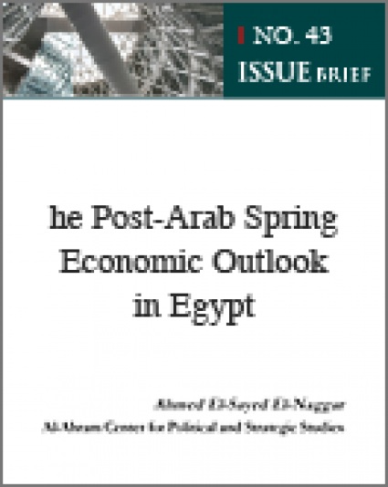 The Post-Arab Spring Economic Outlook in Egypt