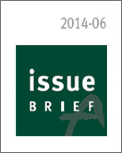 Issue Watch: Guide to Key Policy Concerns in South Korea for 2014