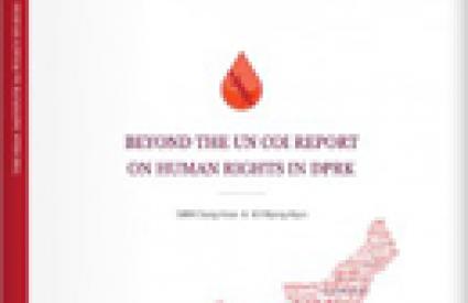 Beyond the UN COI Report on Human Rights in North Korea